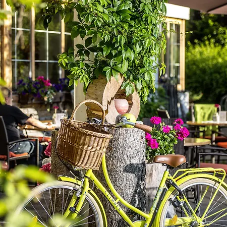 Maximilian Szálloda 3*