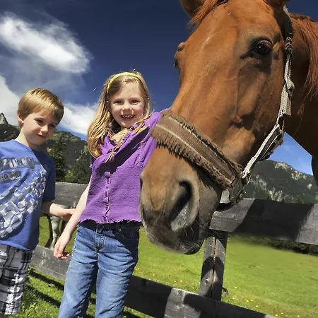 Maximilian 3* Reutte