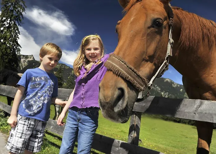 Maximilian 3* Ройте